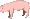 buta.gif