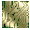 kiban.gif