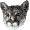 neko.gif